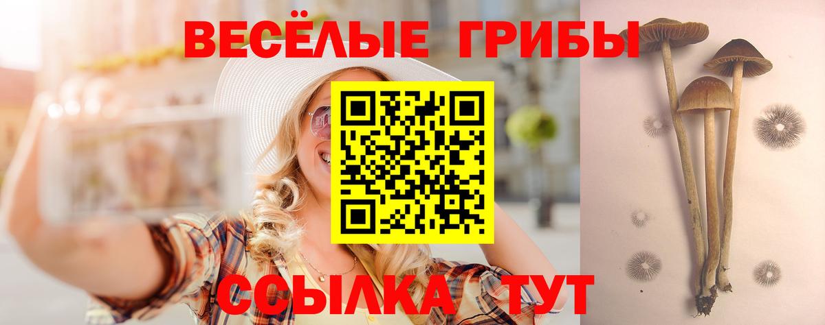 Галлюциногенные грибы Magic Shrooms  Вход с VPN  Саров  Галлюциногенные грибы MAGIC MUSHROOMS 
